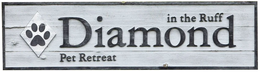diamonds in the ruff signage brand