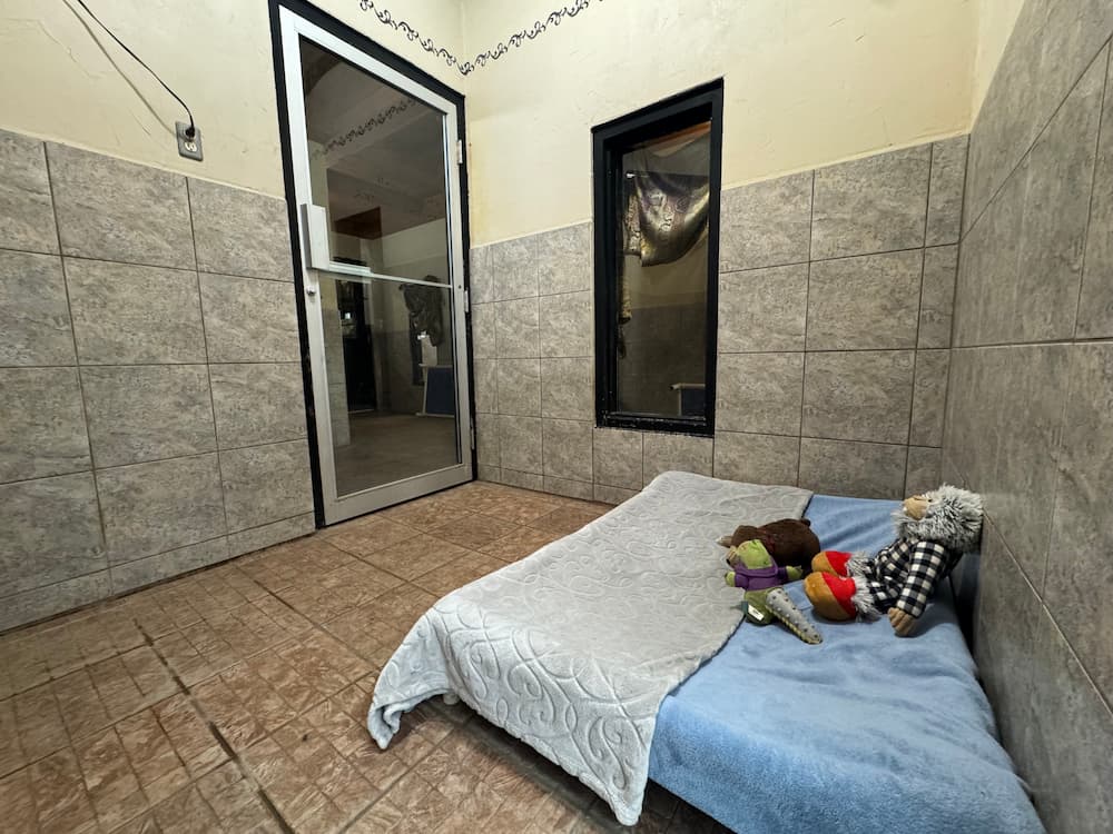 View from the corner of an 8x8 room showing the glass door, tiled floor, a made up bed low to the ground with stuffies on it and a large window to the hall outside.